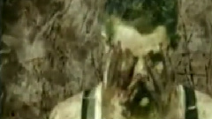 Monochromatic Stains