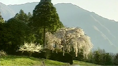 西洋乐 - 豪华列车波尔卡进行曲