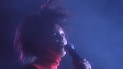 逍遥游 震翅高飞