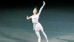 芭蕾舞<爱之传说> 片段