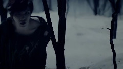 在中也爱 <七龙珠>