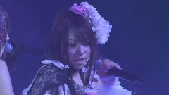 おしべとめしべと夜の蝶々