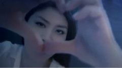 2013美心传统月餅