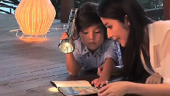 2013美心传统月餅