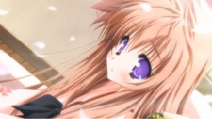 情热のウォブル