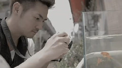 雨の降らない星では愛せないだろう