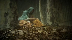 Linkin Park - Final Masquerade