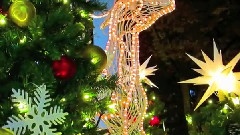 东京イルミネーションドライブ