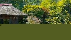 富士山下的山梨县