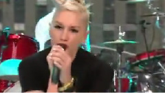 Spiderwebs Today Show