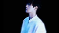 WarmLight 边伯贤2014庆生视频