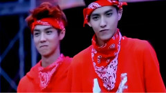 我们的爱情如此