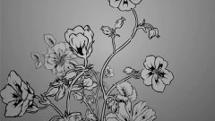 平成风俗 大吟醸