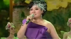 王莹 - 春天的芭蕾