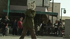 Wildcat! Wildcat! - Mr.Quiche