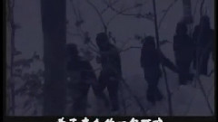 还想再当一次兵