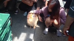 跟妈妈去打工的银赫与Choco