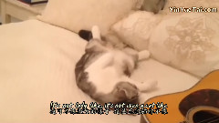 Taylor Swift - Again With The Posture