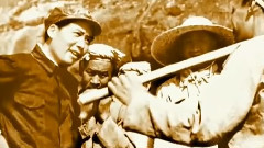 王二妮 - 山丹丹开花红艳艳