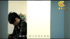 民乐群星 - 你却忘了我