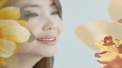 辛晓琪 - 你走之前