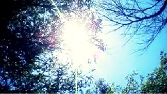 Apricot Rail - Trout Fishing In Australia