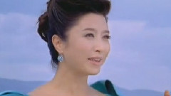 刘媛媛 - 不曾见过你