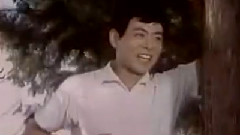 满山红叶似彩霞