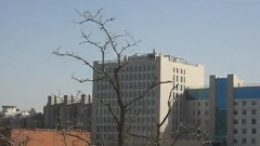 Tamas Wells - Valder Fields