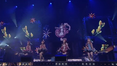 诞生15周年纪念 Live 2013 Winter ～Bravo!～额外1