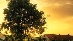 音悦stage - 瑾阳 - 一直到未来