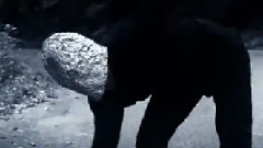 Nico - 躁鬱少年28号