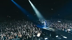 Within Temptation - Covered By Roses