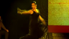 Omar Akram,音乐短片 - Gipsy Spirit