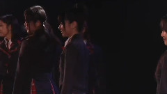 桜の花びらたち