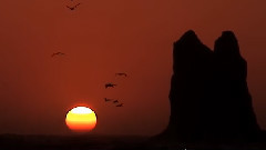 Ernesto Cortazar,音乐短片 - Ernesto Cortazar - Just For You