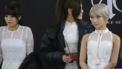 机场粉丝签名会