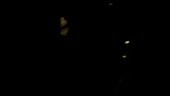 秀英INS视频更新