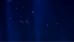 Ernesto Cortazar - Nights Of Silk And Tears