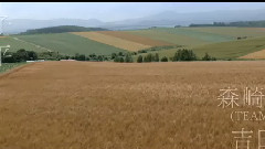 影视原声 - 映画<愛を積むひと>特報