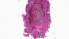 Nicki Minaj - The Pinkprint