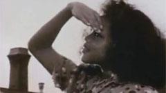 Bob Marley & The Wailers - Three Little Birds