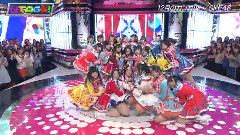 12月のカンガルー