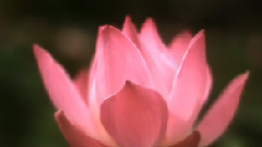 Enigma - Between Generations