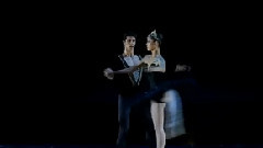 黑天鹅 Pas De Deux