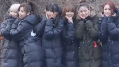 迷你粉丝见面会