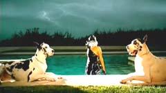 Lady Gaga - Poker Face