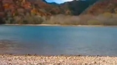 Bandari - Airy Voices