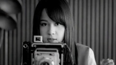 鸟は青い空の涯を知らない