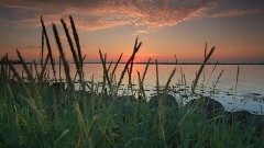 李闰珉 - Kiss The Rain